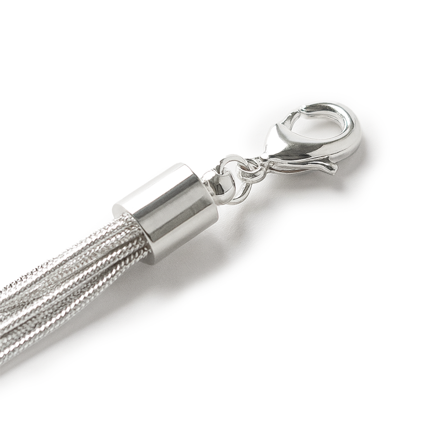 Silver chain with a clasp on a white background