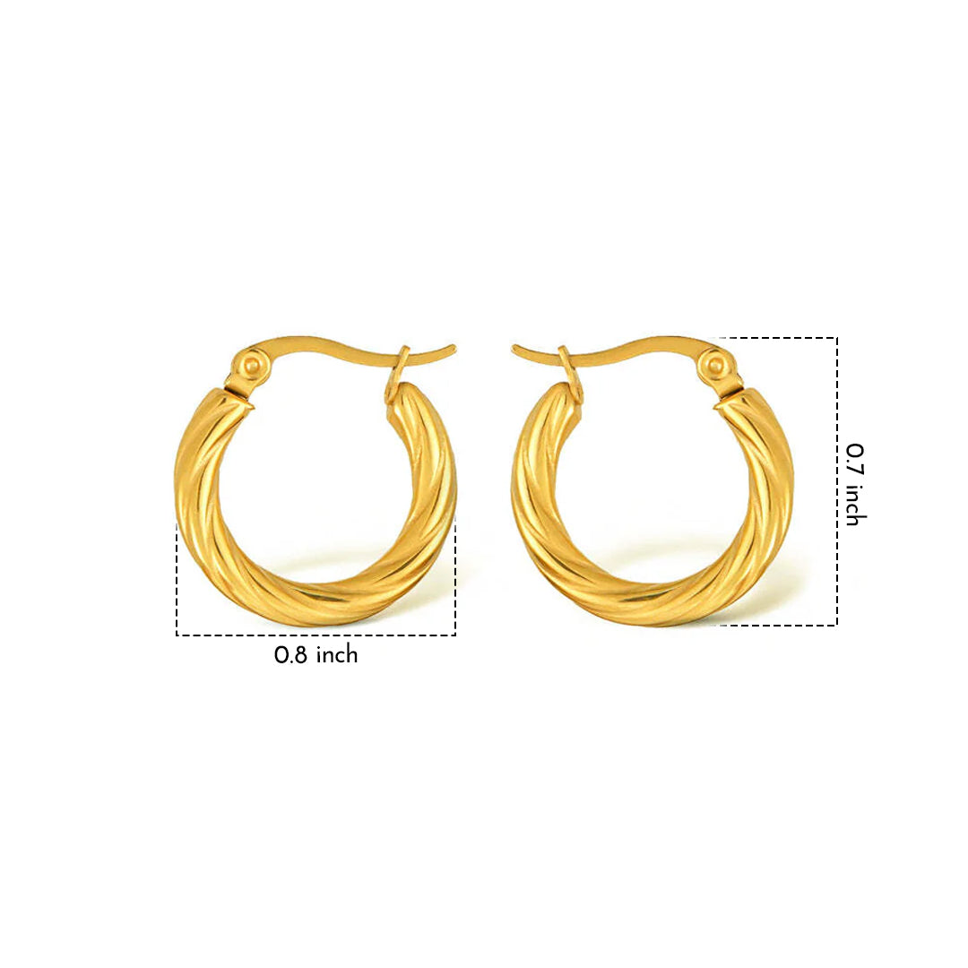 Cleo Twist Hoops Earrings For Women - Amalfa
