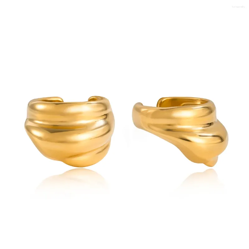 daily wear Pair of gold earrings  for women on a white background