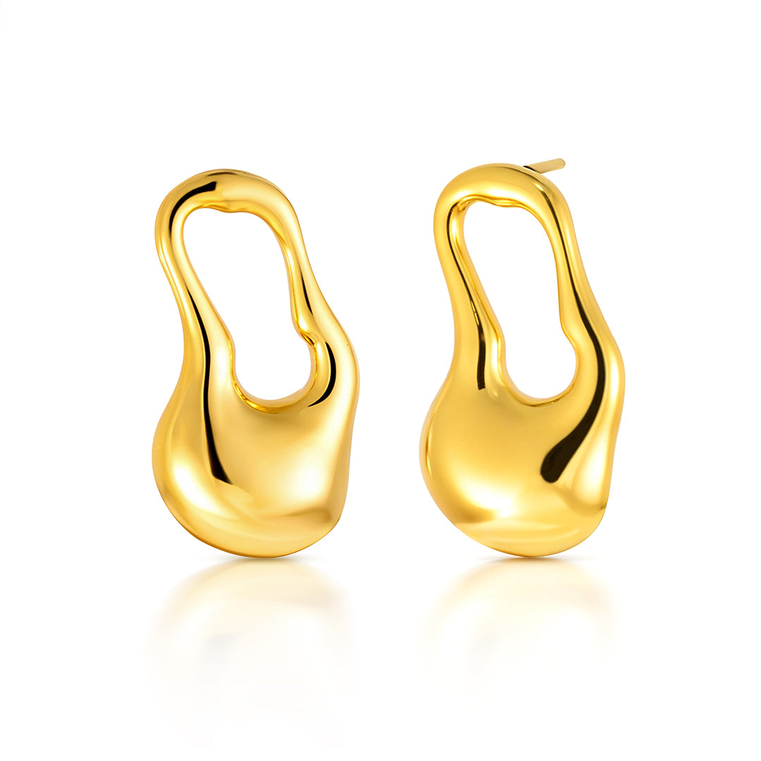 Drops Earrings  For Women